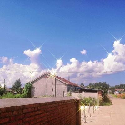 贝比游戏岛无限金币版下载